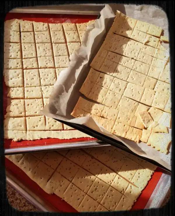 Trays of freshly baked Jack’s crackers