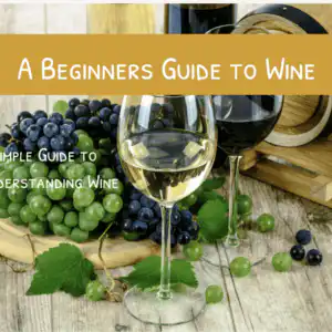 A Beginner’s Guide to Wine